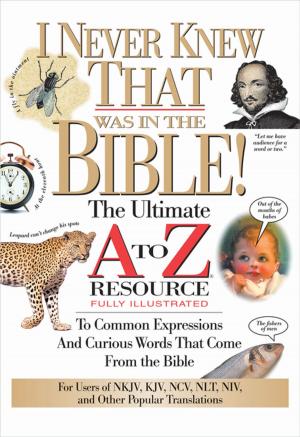 bigCover of the book I Never Knew That Was in the Bible by 