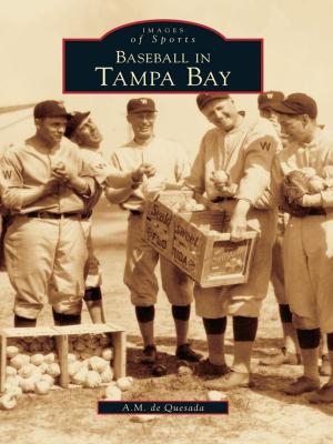 Cover of the book Baseball in Tampa Bay by Marc Wanamaker