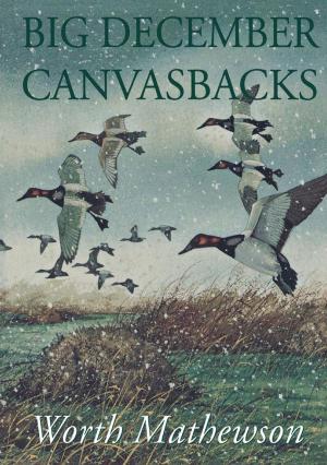 Cover of the book Big December Canvasbacks, Revised by Hugh J. Robards, MFH