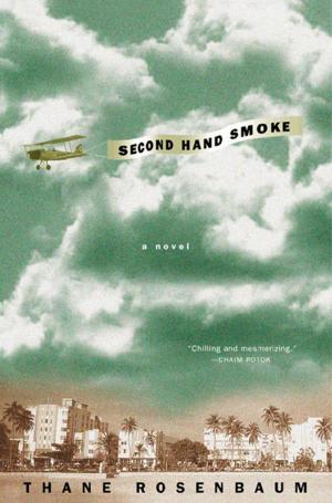 Cover of the book Second Hand Smoke by Sara Fawkes