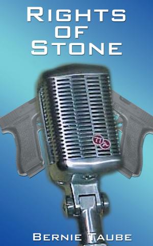 Cover of the book Rights of Stone by P. J. Alderman