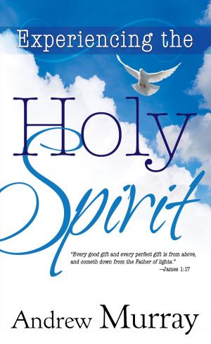 bigCover of the book Experiencing the Holy Spirit by 