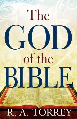 Cover of the book The God of the Bible by Ray McCollum