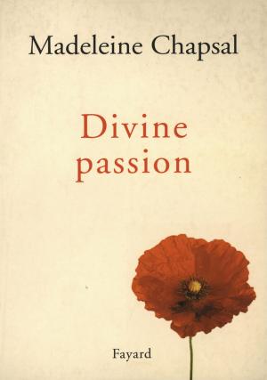 Cover of the book Divine passion by Hélène Constanty, Pierre-Yves Lautrou
