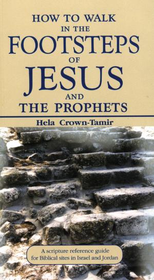 Cover of the book How to Walk in the Footsteps of Jesus and the Prophets: A Scripture Reference Guide for Biblical Sites in Israel and Jordan by Arieh Larkey