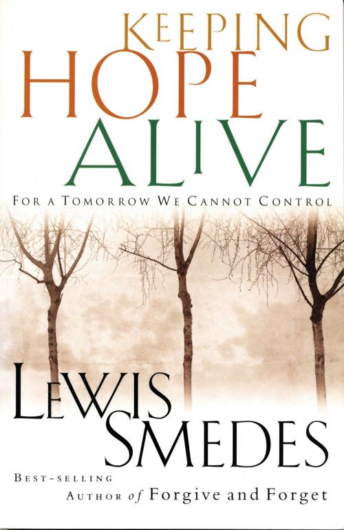 Cover of the book Keeping Hope Alive by Lewis Smedes, Thomas Nelson