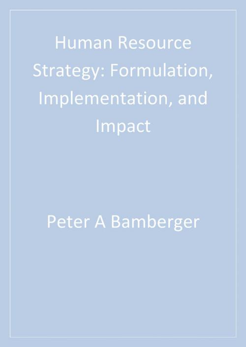 Cover of the book Human Resource Strategy by Peter A. Bamberger, Professor Ilan Meshoulam, SAGE Publications