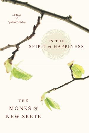 Cover of the book In the Spirit of Happiness by Clyde Edgerton