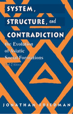 Cover of the book System, Structure, and Contradiction by 