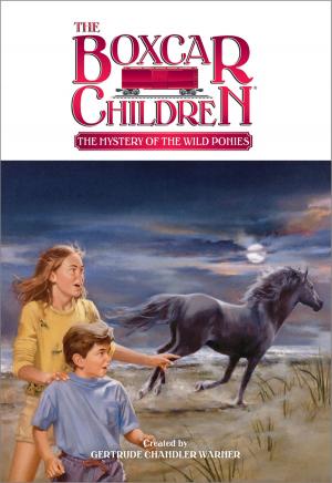 Cover of the book The Mystery of Wild Ponies by Jacqueline Jules