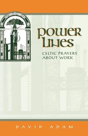 Cover of the book Power Lines by Jenifer Gamber, Bill Lewellis