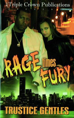 Cover of the book Rage Times Fury by Tracy Brown