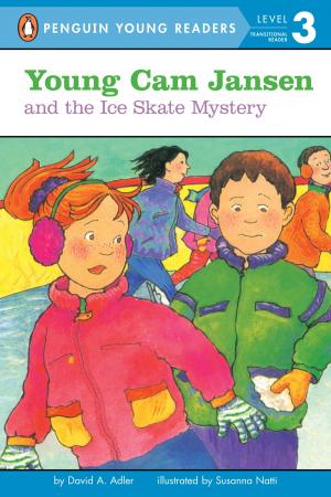 Cover of the book Young Cam Jansen and the Ice Skate Mystery by Janet Morgan Stoeke
