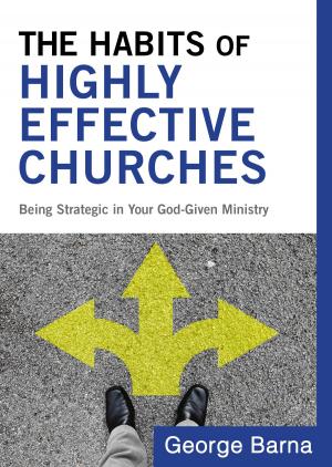 Cover of the book The Habits of Highly Effective Churches by Lance Witt