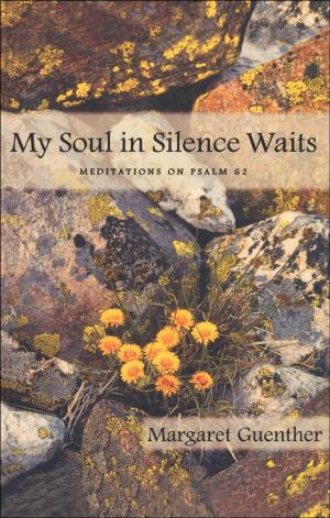 Book cover of My Soul in Silence Waits