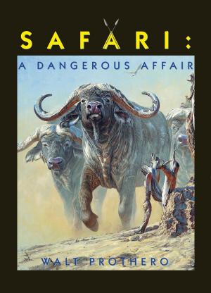 Cover of the book Safari by Jonathon Kibler, Walt Prothero