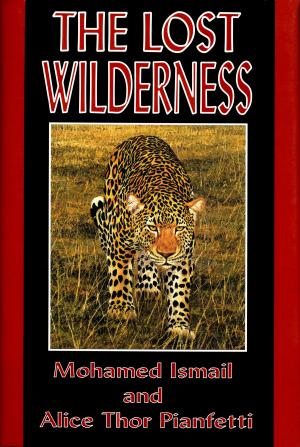 Cover of the book The Lost Wilderness by Walt Prothero