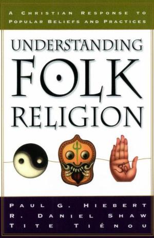 Book cover of Understanding Folk Religion