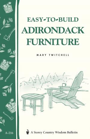Book cover of Easy-to-Build Adirondack Furniture