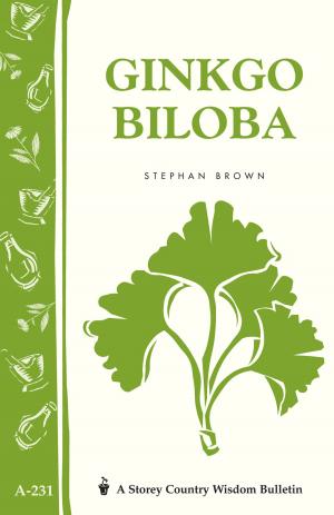 Cover of the book Ginkgo Biloba by Robert Louis Hesslink Jr. ScD