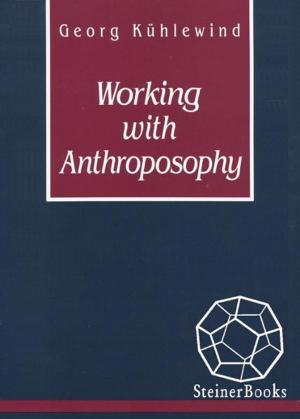 Cover of the book Working with Anthroposophy: The Practice of Thinking by R. J. Reilly