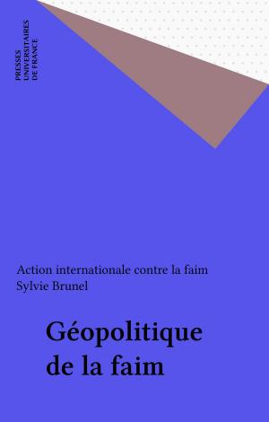 Cover of the book Géopolitique de la faim by Sylvain Wickham, Pierre Tabatoni