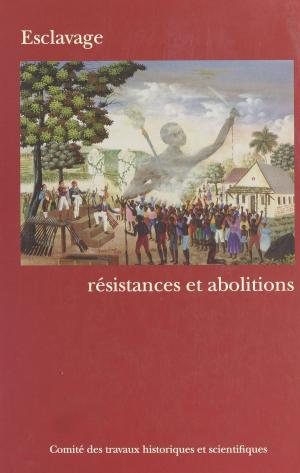 Cover of the book Esclavage : Résistances et abolitions by Bernard Golse, Claude Bursztejn