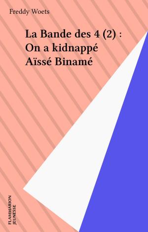 Cover of the book La Bande des 4 (2) : On a kidnappé Aïssé Binamé by Olivier Lécrivain