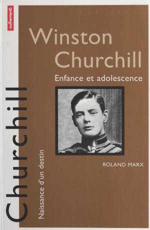 Cover of the book Winston Churchill by Gérard Delteil