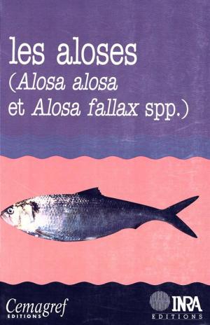 Cover of the book Les aloses (Alosa alosa et Alosa fallax spp.) by Denis Loustau
