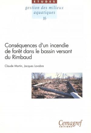 Book cover of Conséquences d'un incendie de forêt dans le bassin versant du Rimbaud