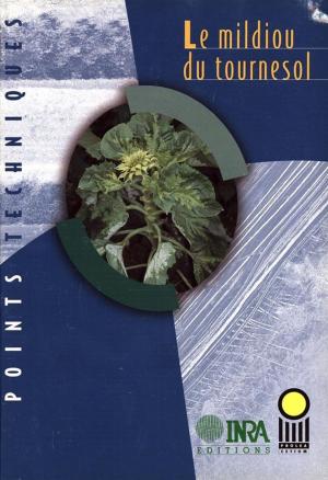 Cover of the book Le mildiou du tournesol by Marie-Cécile Thirion, Bruno Rapidel, Philippe Roudier, Sylvain Perret, Emmanuelle Poirier-Magona, François-Xavier Côte