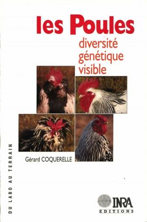 Cover of the book Les poules by Christine Argillier, Gérard Falconnet, Jean Gruez