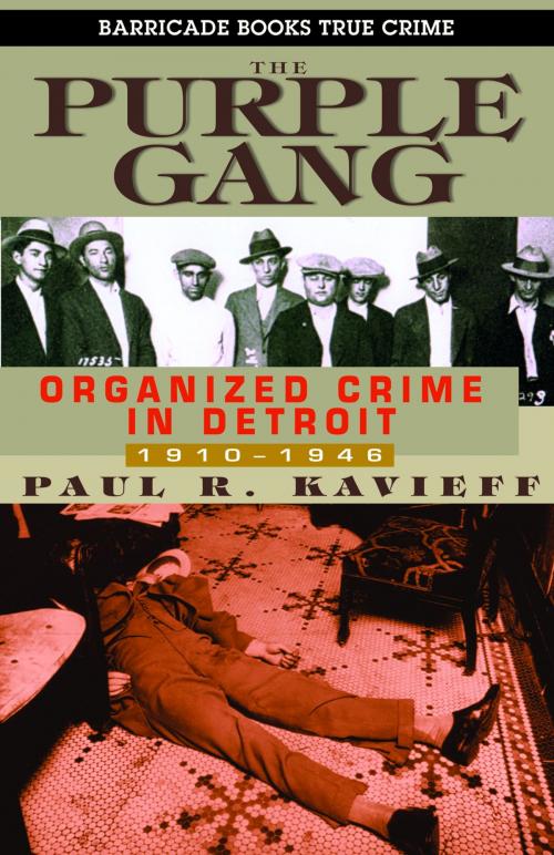 Cover of the book The Purple Gang by Paul Kavieff, Barricade Books