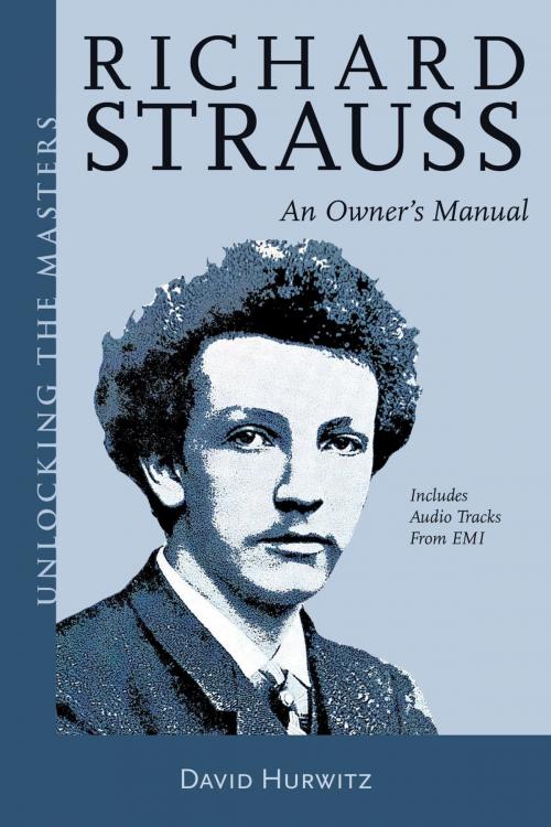 Cover of the book Richard Strauss by Richard Strauss, David Hurwitz, Amadeus