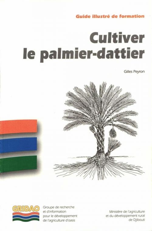 Cover of the book Cultiver le palmier-dattier by Gilles Peyron, Quae