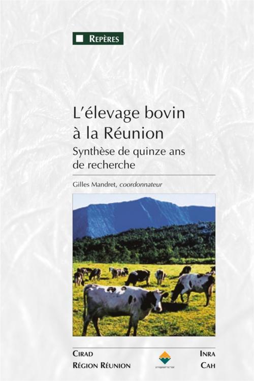 Cover of the book L'élevage bovin à la Réunion by Gilles Mandret, Quae
