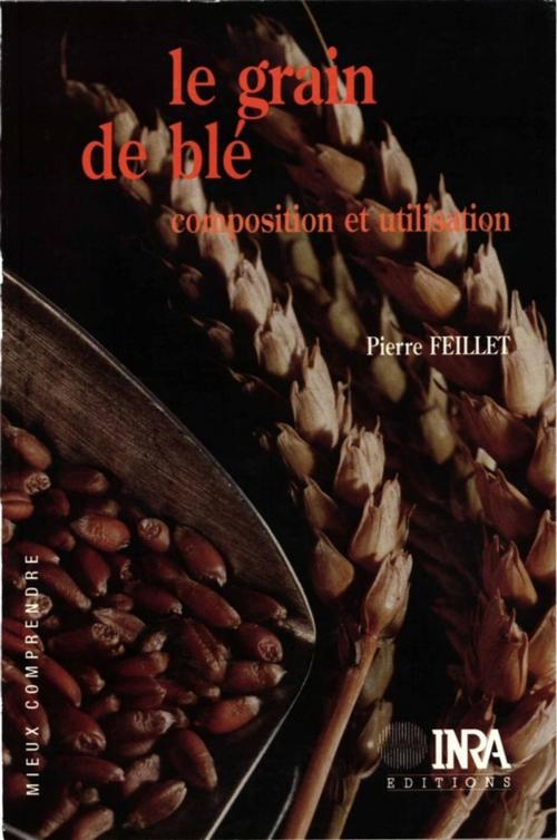 Cover of the book Le grain de blé by Pierre Feillet, Quae