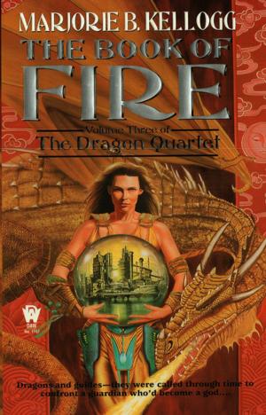 Cover of the book Book Of Fire by 