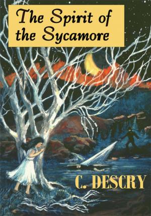 Cover of the book Spirit of the Sycamore by Hayden Lee Hinton