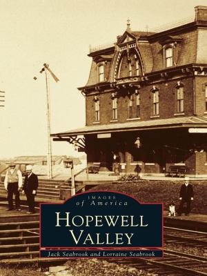 Cover of the book Hopewell Valley by Garret Moffett