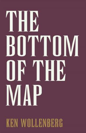 bigCover of the book The Bottom of the Map by 