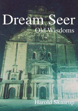 Cover of the book Dream Seer: by Carol Voelkel