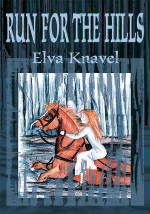 Cover of the book Run for the Hills by CeCe Penne