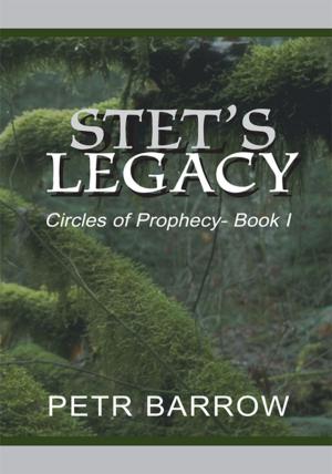 Cover of the book Stet's Legacy by Artin Allahverdi
