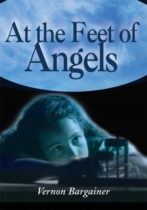 Cover of the book At the Feet of Angels by Donald F. Averill
