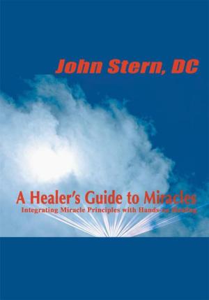 Cover of the book A Healer's Guide to Miracles by John Lindauer
