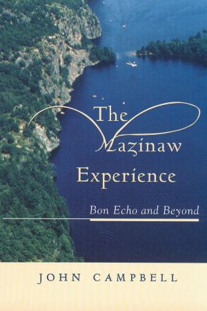Cover of the book The Mazinaw Experience by J. Patrick Boyer