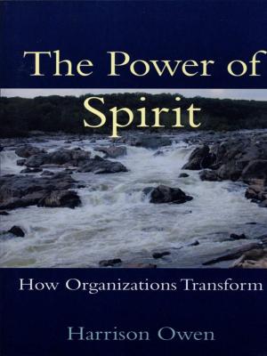 Cover of the book The Power of Spirit by Alan G Robinson, Dean M. Schroeder