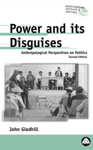 Cover of the book Power and Its Disguises by James Penney
